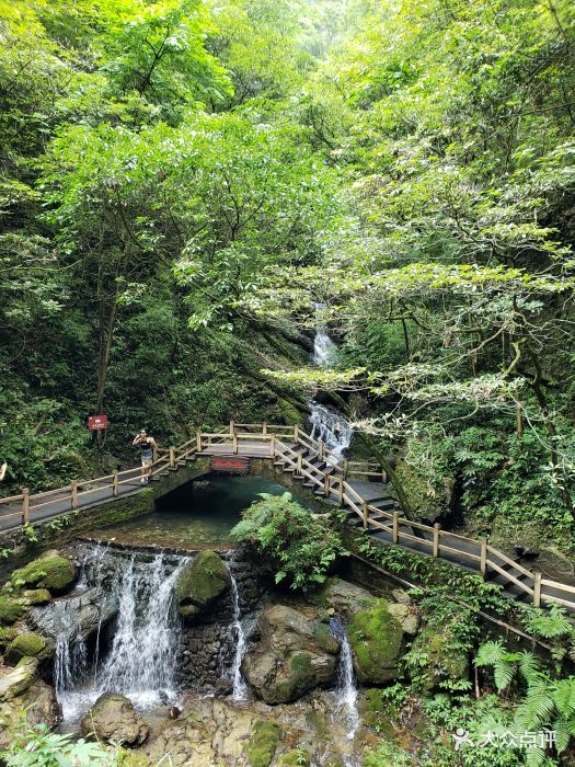 黑山谷景区-图片-綦江区周边游-大众点评网