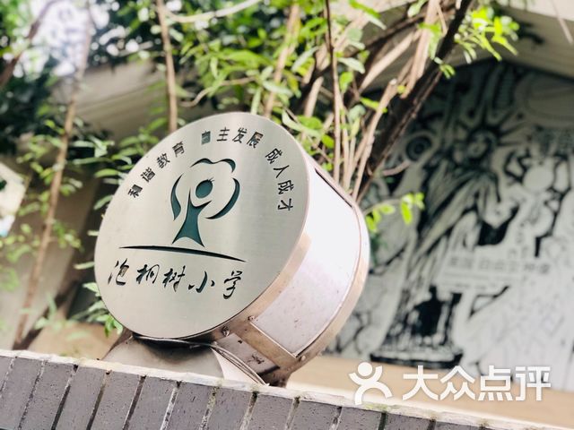 泡桐树小学