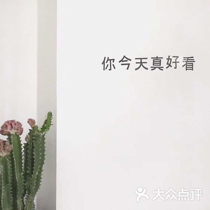 voice over ins风性冷淡咖啡店