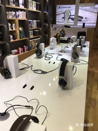 森海塞尔(朝阳大悦城店)