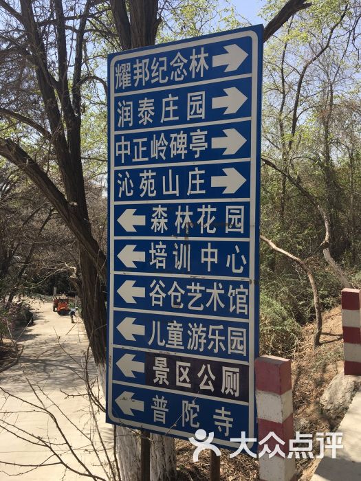 徐家山国家森林公园图片 - 第9张