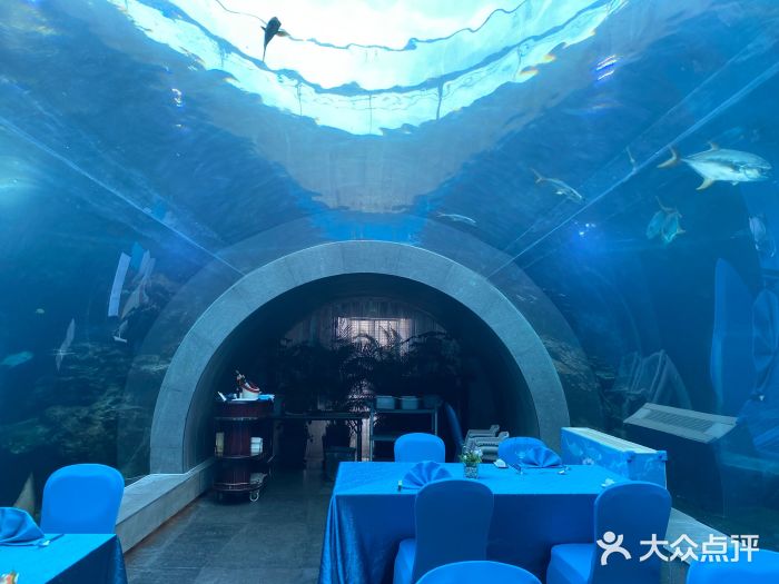 天房洲际度假酒店·海底餐厅 涛餐厅图片