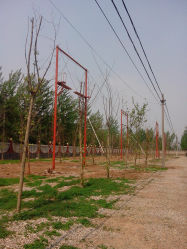 瑞正园农庄-中国石油北京培训中心的相册-北京