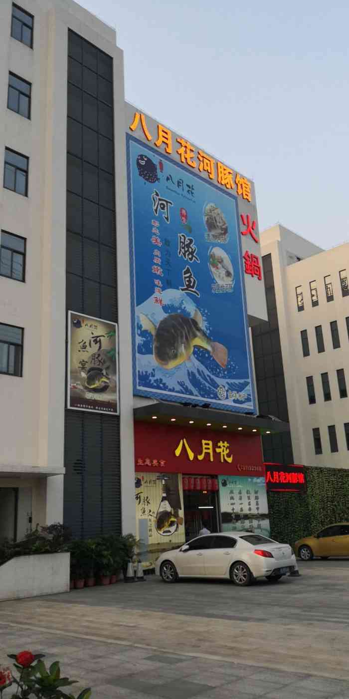 八月花河豚馆-"第一次在番禺看到河豚97店,朋友介绍