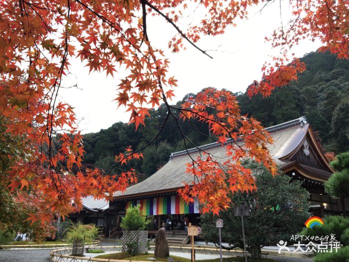 岚山-图片-京都景点门票-大众点评网