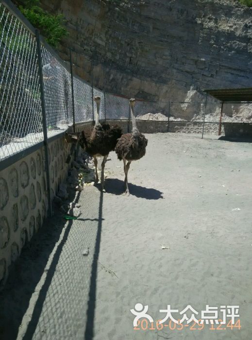鑫聚盛凯庄园(餐饮部)-图片-三河市美食