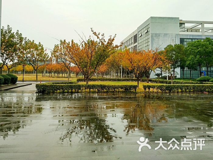 复旦大学(张江校区)图片 第21张
