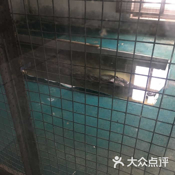 泰州市动物园
