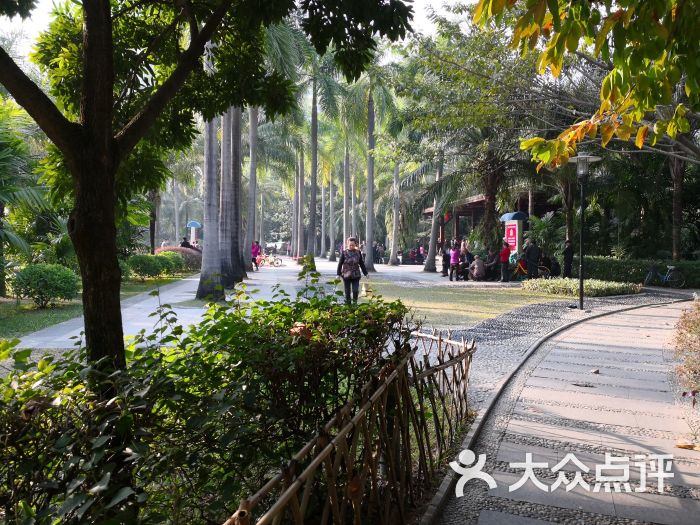 文心公园-图片-深圳周边游-大众点评网