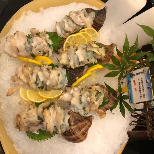 海参刺身