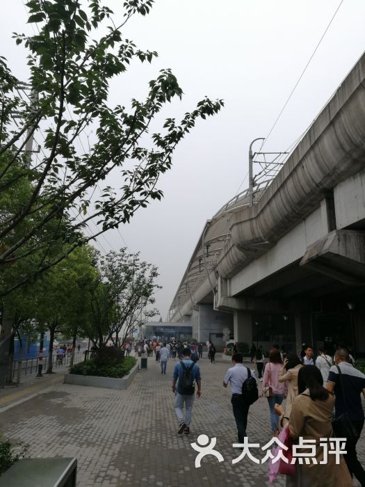 沈杜公路-地铁站图片 - 第4张