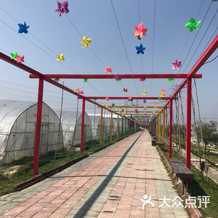 玲珑湾生态园图片-北京采摘/农家乐-大众点评网