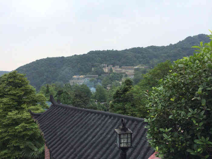 鹤鸣山庄-"因去青城山泡温泉,入住酒店在山庄附近,就.