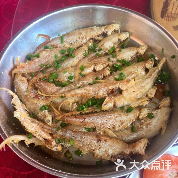 凤尾鱼