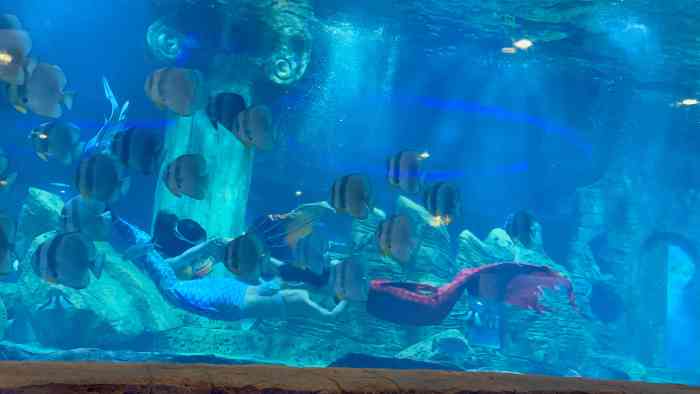 三峡海洋世界"海洋动物和生物还是比较多,有3层楼 2.