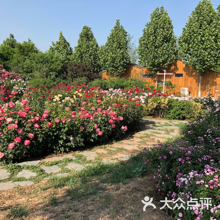 大兴世界月季主题园
