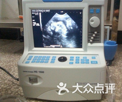 爱迪动物医院-B超监测犬猫妊娠图片-晋中宠物