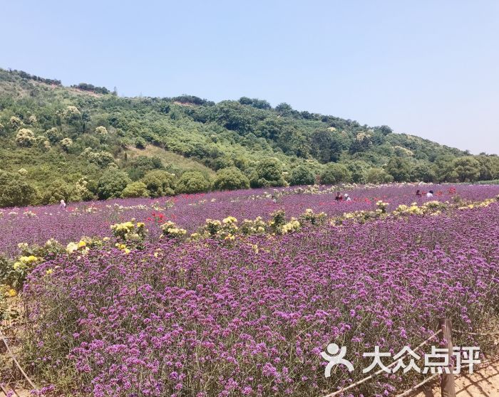 雪浪山生态园图片 第2张