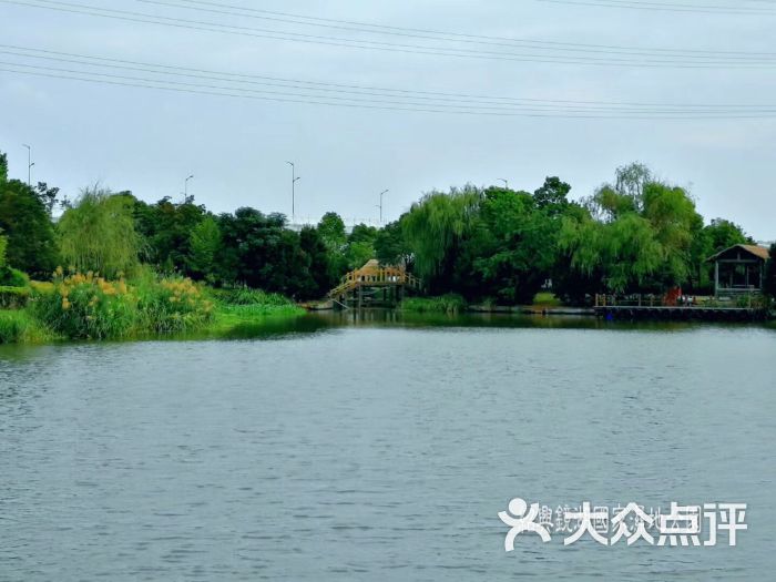 绍兴镜湖国家城市湿地公园图片 - 第8张