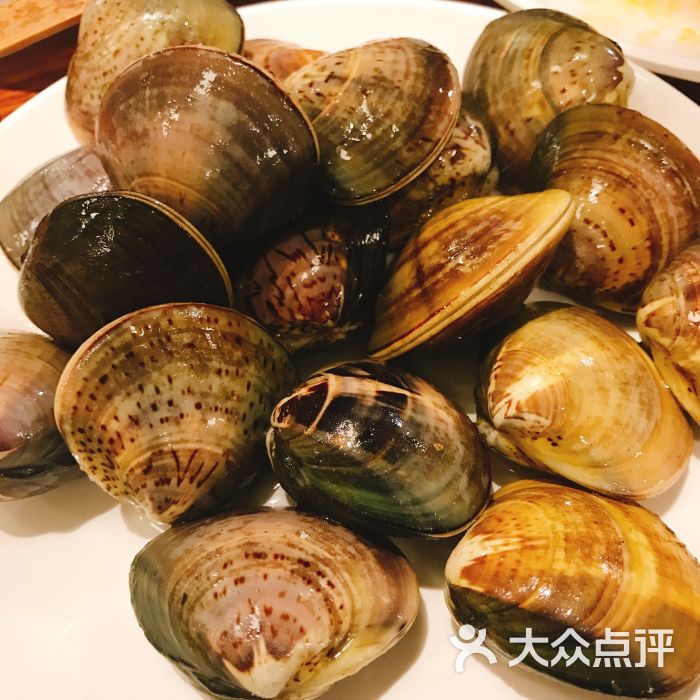 海之乡全球海鲜自助餐(中央大道店-蚬子图片-大连美食-大众点评网