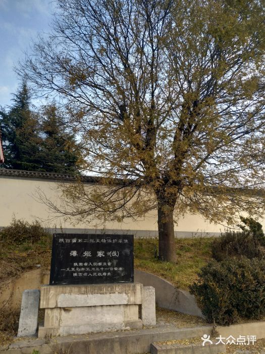 薄太后陵图片