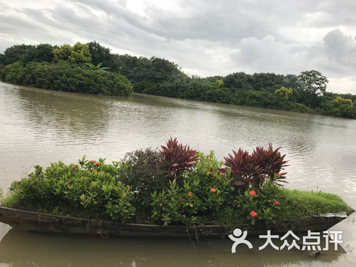 南沙湿地公园图片 - 第1张