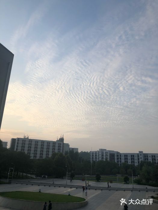 重庆大学城市科技学院-图片-永川区学习培训-大众点评