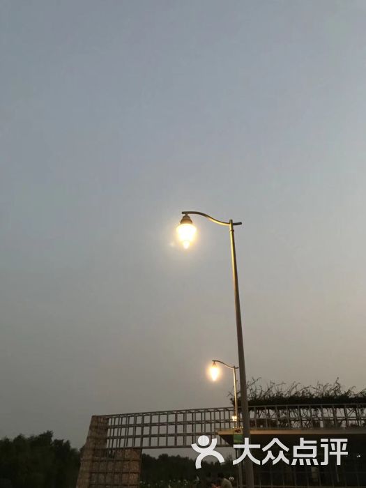 深圳湾公园:坐地铁在华侨东下车,每人扫一辆.深