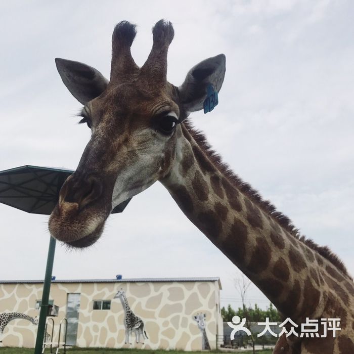 聊城滨河野生动物世界