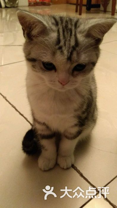 华西动物医院-图片-成都生活服务