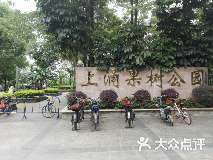 上涌果树公园图片 - 第60张