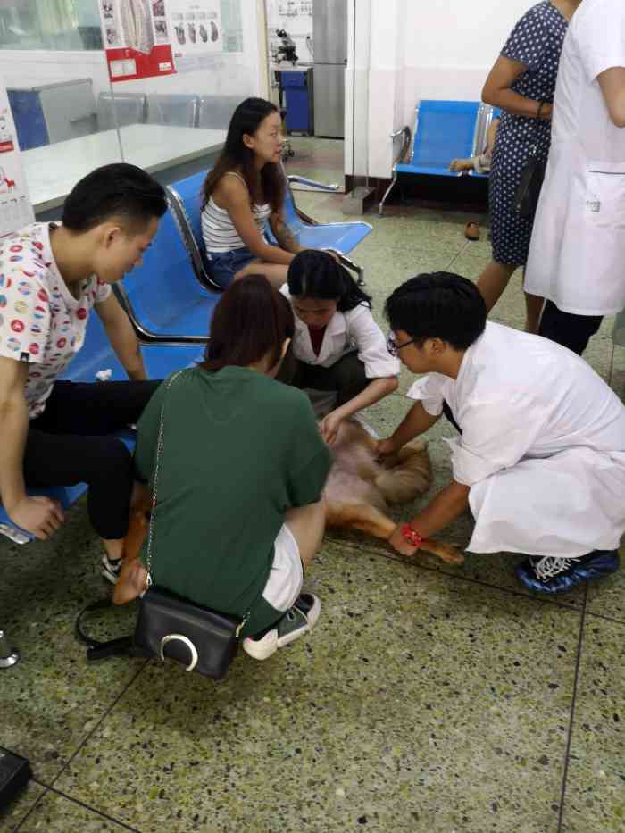 西南民族大学动物医院