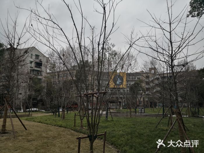 杭州市风帆中学图片