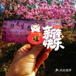 采摘/农家乐  新会区其他  醉美人间绿美生态农场关注了公众号,预订好