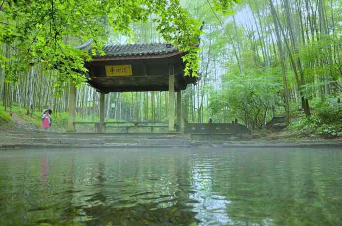 里面全是竹林,小桥流水人家的感觉