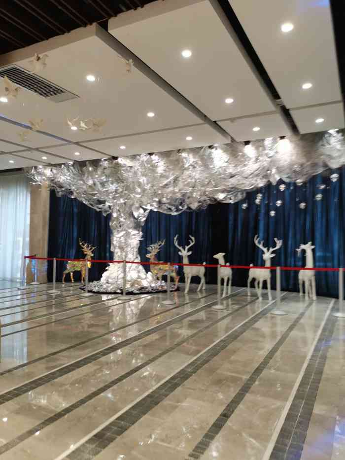 禧悦酒店·宴会厅-"很不错的酒店,应该是新开不久的.装潢设计.