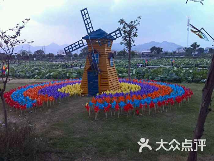 绿梦湿地生态园图片 - 第37张