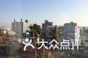 济州排名_济州真柏盆景图片