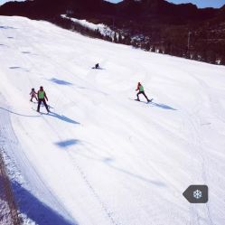 万泰国际旅行社(星海营业部)怎么样,好不好的默