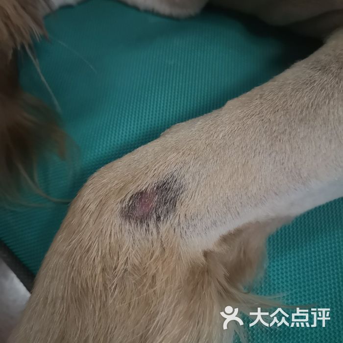 西南民族大学动物医院