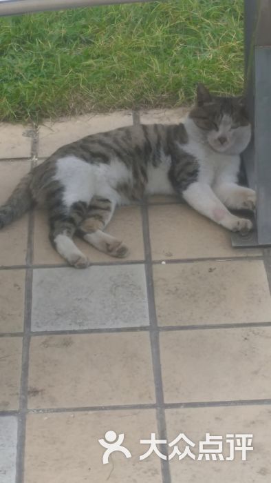 中国医科大学附属盛京医院(南湖分院)-图片-沈