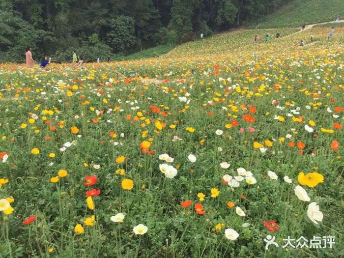 石象湖-图片-蒲江县景点/周边游-大众点评网