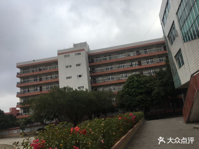 化州市实验中学图片