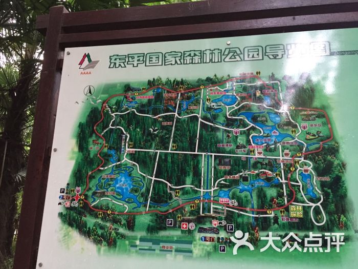 东平国家森林公园图片 - 第803张