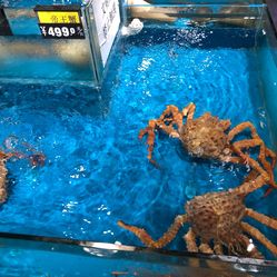 【谊品生鲜超市】电话_地址_价格_营业时间_