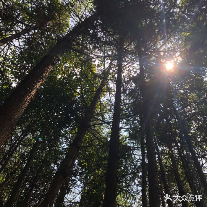 铁峰山国家森林公园图片 - 第2张