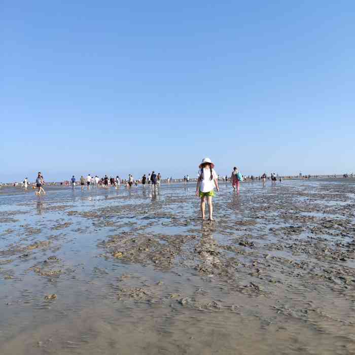 奉贤海滩-"我讲下重点和实战体会.敲黑板,划重点啦!