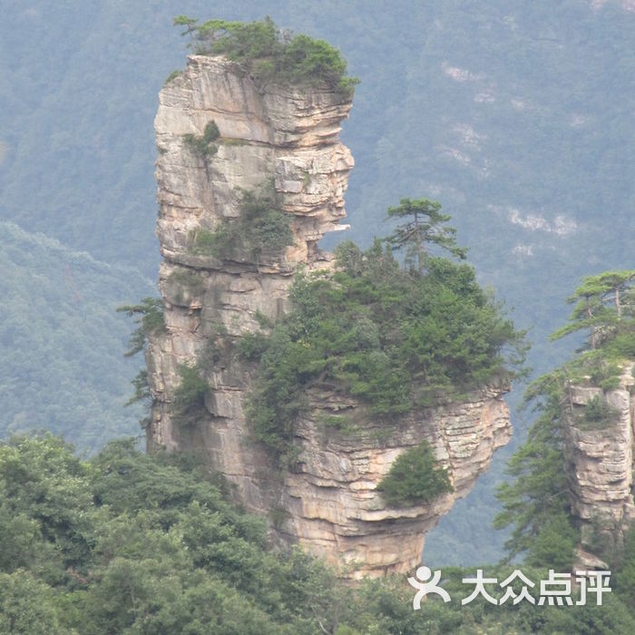 天子山风景区"仙女散花",神似一抱着花篮的人图片