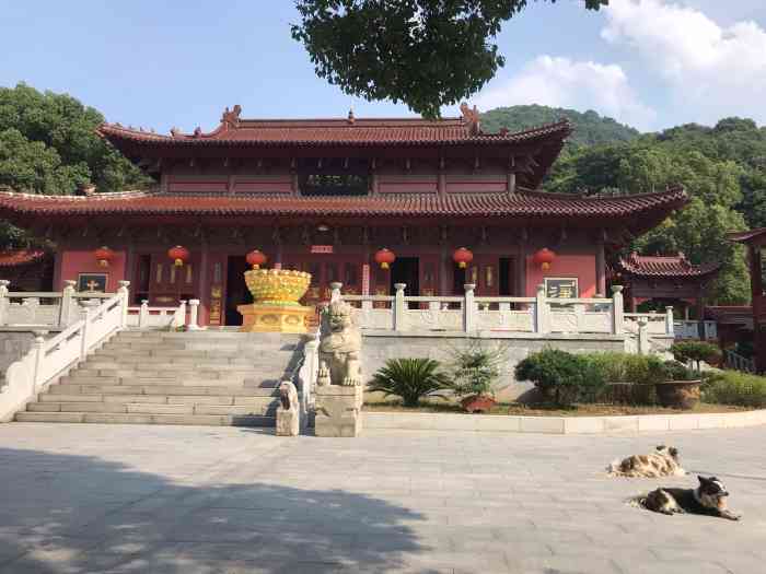 濂溪龙泉寺-"九江龙泉寺位于方竹寺旁边,两个寺庙靠的