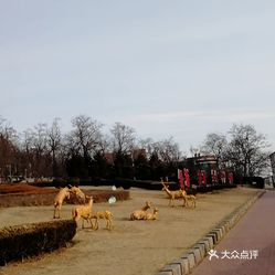 瓦房店有多少人口_瓦房店有小旅店美女(3)